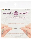     "carryC"    "carryT",  100, Tulip, CTMM-25