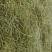 018, khaki хаки, хаки,ШтрихКод: 5010484160324