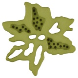 Пуговица, размер 23мм, пластик, Dill, 287705/23-12