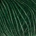  110, foliage green листва зеленая, хаки,ШтрихКод: 4053859254243